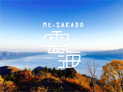 banner_250_188
